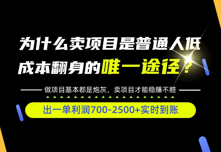 普通人如何靠互联网賺取自己的第一桶金！全类目实操型教学，看完你全都懂了！【揭秘】-凡人轻创