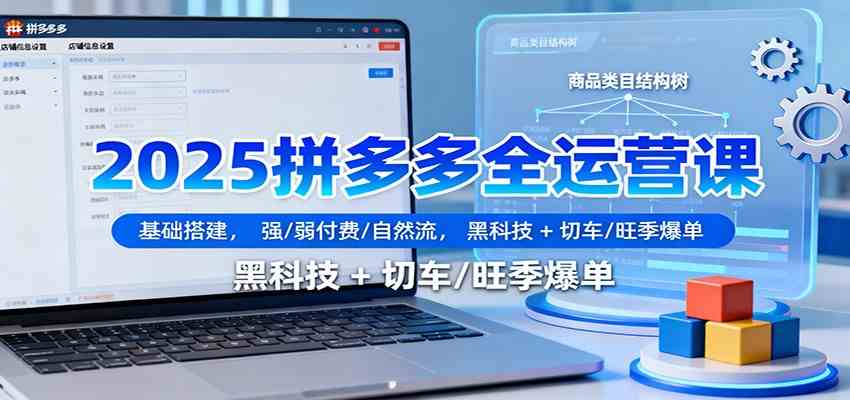 2025拼多多全运营课：基础搭建，强/弱付费/自然流，黑科技 + 切车/旺季爆单-凡人轻创