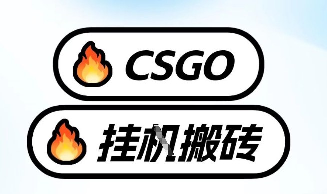 真全网独家CSGO挂G，最新玩法,单日捡漏1K+，不用电脑，不用打游戏【揭秘】-凡人轻创