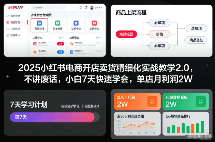 2025小红书电商开店卖货精细化实战教学2.0，不讲废话，小白7天快速学会，单店月利润2W-凡人轻创