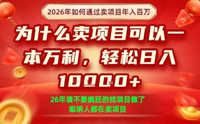 一单净利润1K+，26年想年入100个W，死磕卖项目就够了【揭秘】-凡人轻创