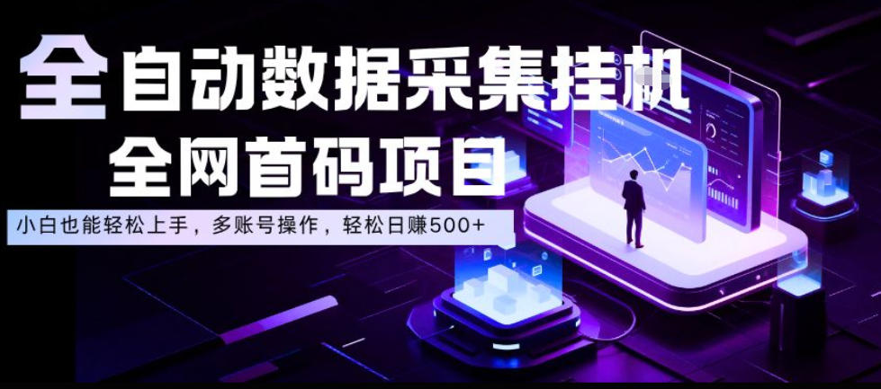 全自动数据采集挂G,全网首码项目,简单易操作,小白也能轻松上手,多账号操作,轻松日入500+【揭秘】-凡人轻创