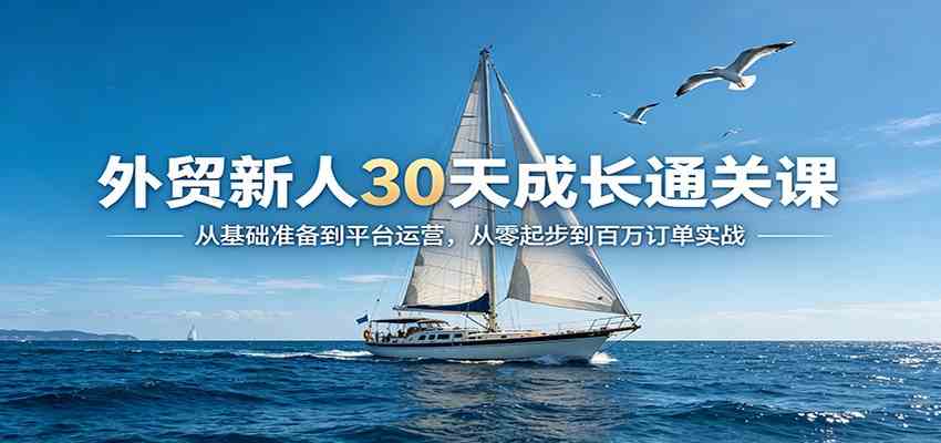 外贸新人30天成长通关课:从基础准备到平台运营,从零起步到百万订单实战 外贸新人30天成长通关课:从基础准备到平台运营,从零起步到百万订单实战