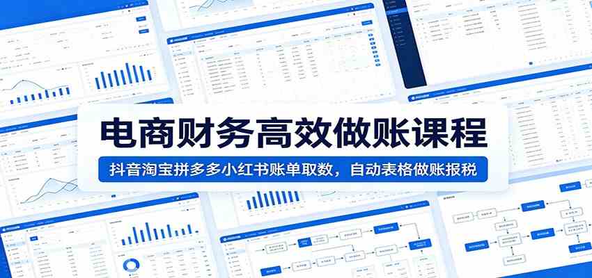 电商财务高效做账课程:抖音淘宝拼多多小红书账单取数,自动表格做账报税-凡人轻创