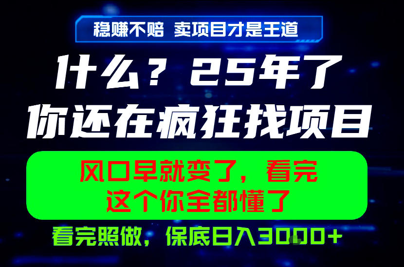 26年，请不要疯狂的找项目做了！卖项目才是真的稳賺不赔，看完照做，保底日入1k+【揭秘】-凡人轻创