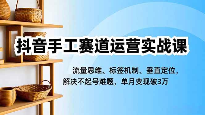 （16667期）抖音手工赛道运营实战课，流量思维、标签机制、垂直定位，解决不起号难题，单月变现破3万-凡人轻创