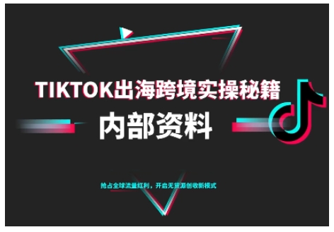 TikTok跨境电商0-1搭建运营，TK出海跨境实操秘籍（10月更新）-凡人轻创