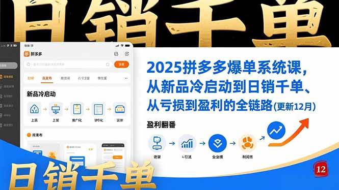 （16894期）2025拼多多爆单系统课，从新品冷启动到日销千单、从亏损到盈利的全链路（更新12月）-凡人轻创