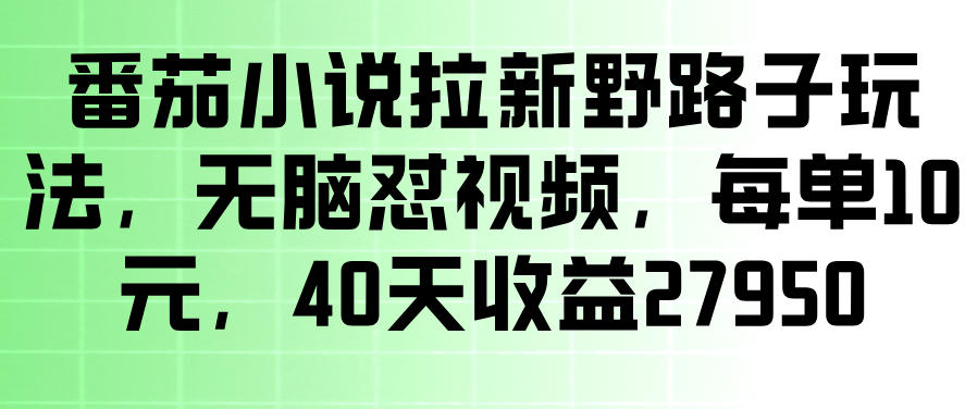 番茄小说拉新野路子玩法,无脑怼视频,玩法简单、见效快,每单10米,40天收益27950-凡人轻创