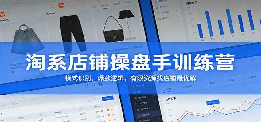 淘系店铺操盘手训练营:模式识别,爆款逻辑,有限资源找店铺最优解-凡人轻创