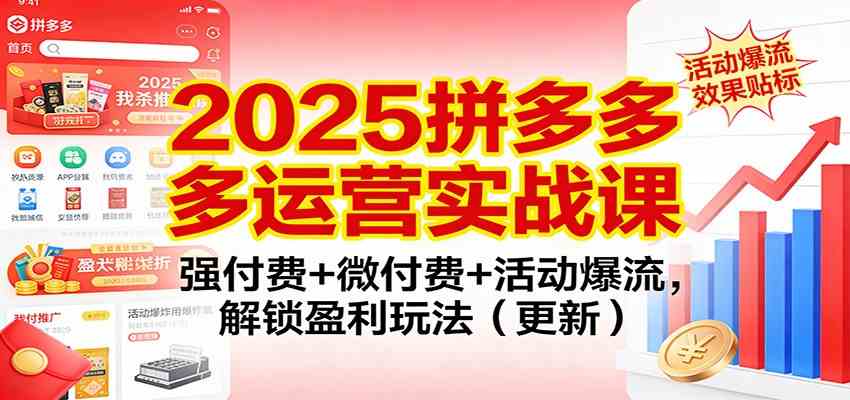 2025拼多多运营实战课:强付费+微付费+活动爆流,解锁盈利玩法(更新)-凡人轻创