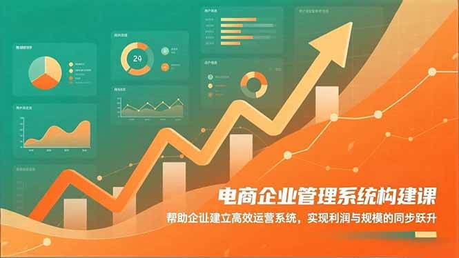 （16643期）电商企业管理系统构建课：帮助企业建立高效运营系统，实现利润与规模的同步跃升-凡人轻创