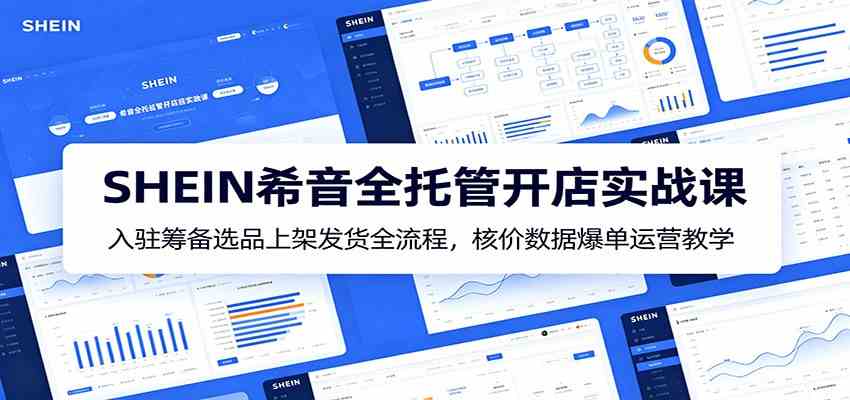 SHEIN希音全托管开店实战课：入驻筹备选品上架发货全流程，核价数据爆单运营教学-凡人轻创