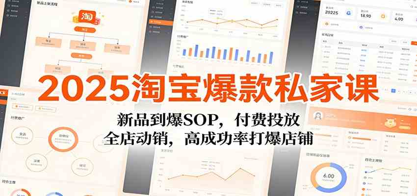 2025淘宝爆款私家课:新品到爆SOP,付费投放,全店动销,高成功率打爆店铺-凡人轻创