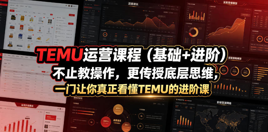 TEMU运营课程（基础+进阶），不止教操作，更传授底层思维，一门让你真正看懂TEMU的进阶课-凡人轻创