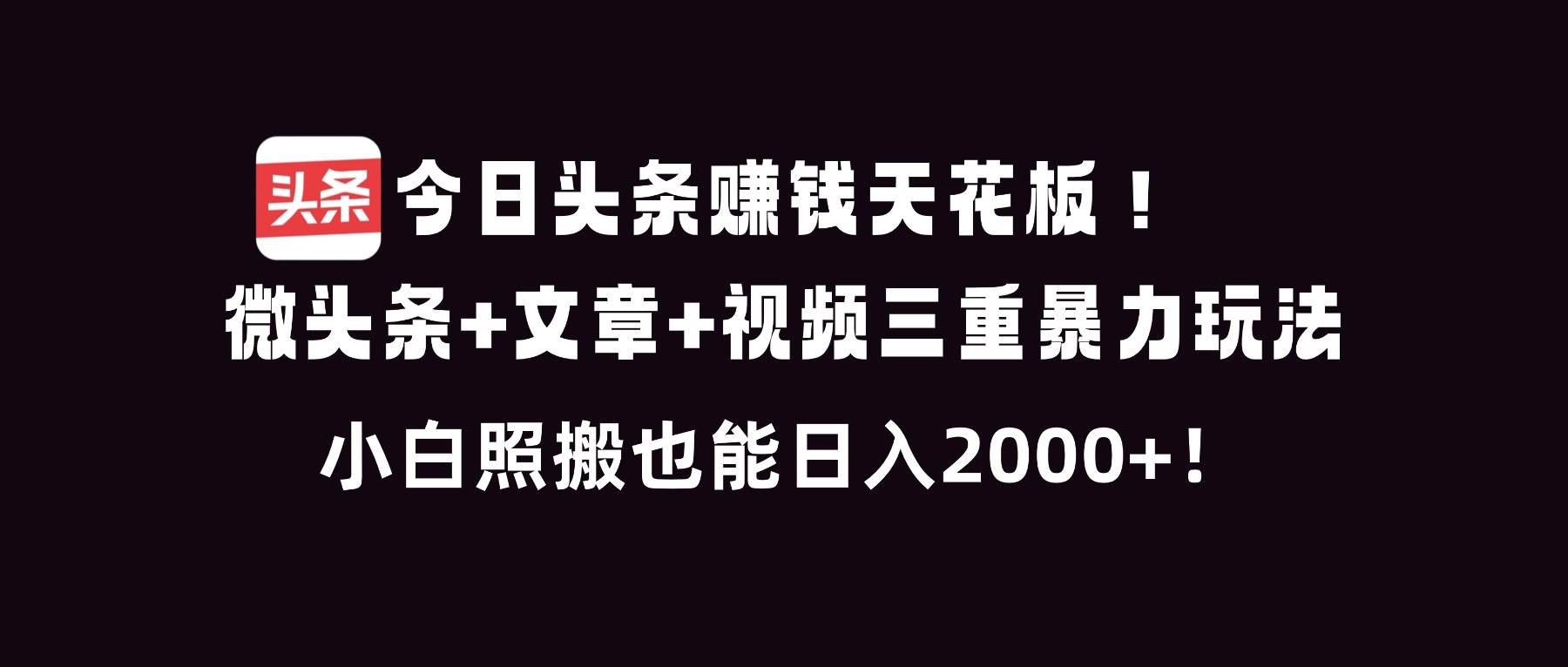 （16888期）今日头条赚钱天花板！微头条+文章+视频三重暴利玩法，小白照搬也能日人2000+-凡人轻创