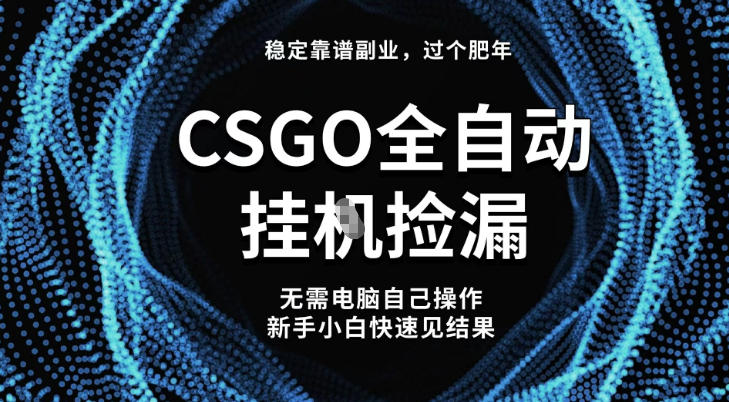 【稳定副业】全球最热门游戏CSGO全自动捡漏，最新玩法，新手小白日入5张+【揭秘】-凡人轻创